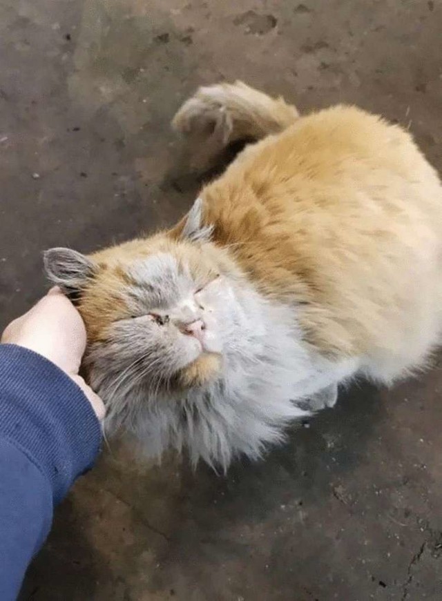 Знакомьтесь, это Грязь!