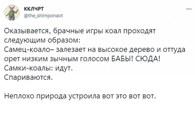 Картинки и мемы для настроения - 14