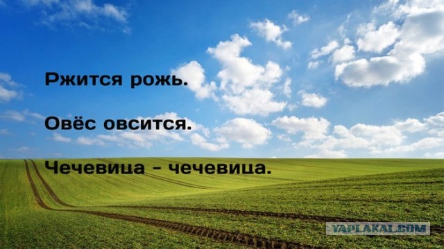 КартNнки всякие развлекательные с надписями, но в основном без
