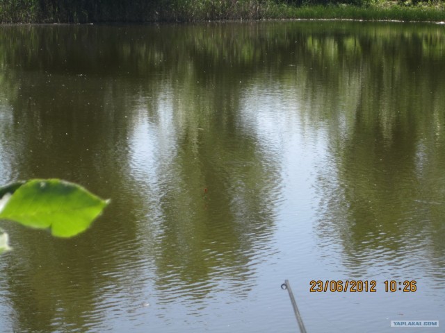 Утреняя рыбалка