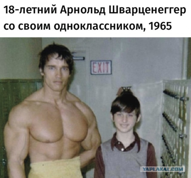 Весёлый полтишок 13.09.22