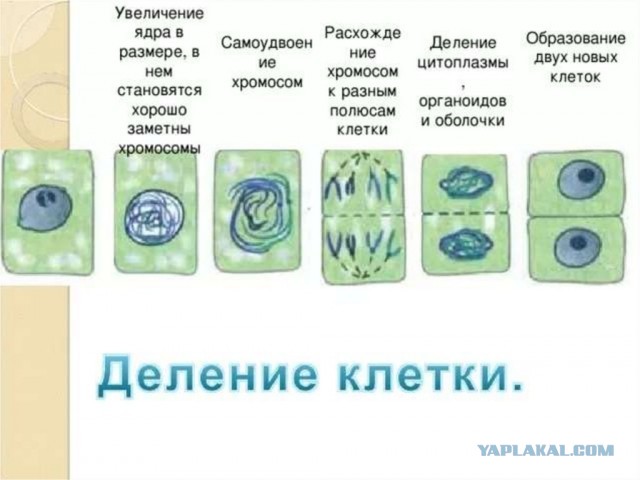 Меня убивают!