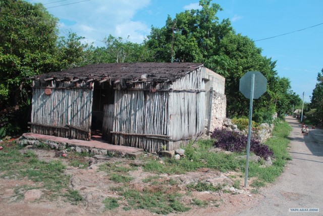 Поездка в Мексику (за деньги)