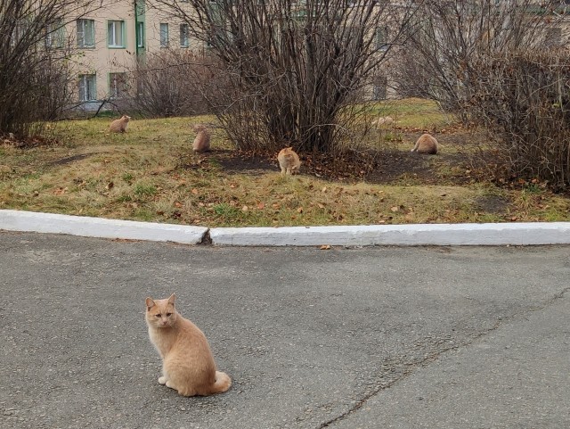 Сбой в матрице