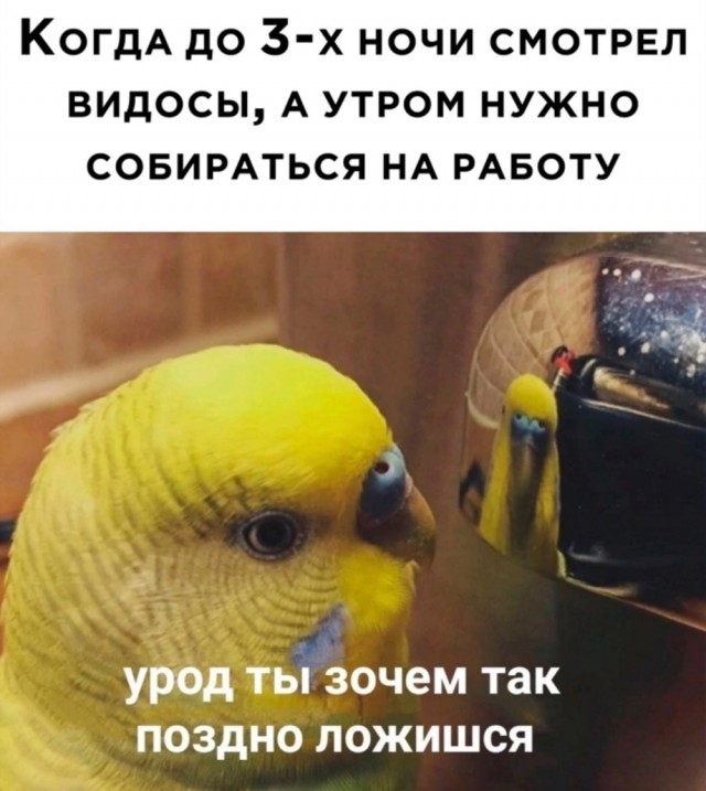 Баянистых и не очень картинок