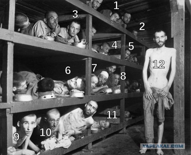Из Бухенвальда – на помост. Иван Васильевич Удодов!