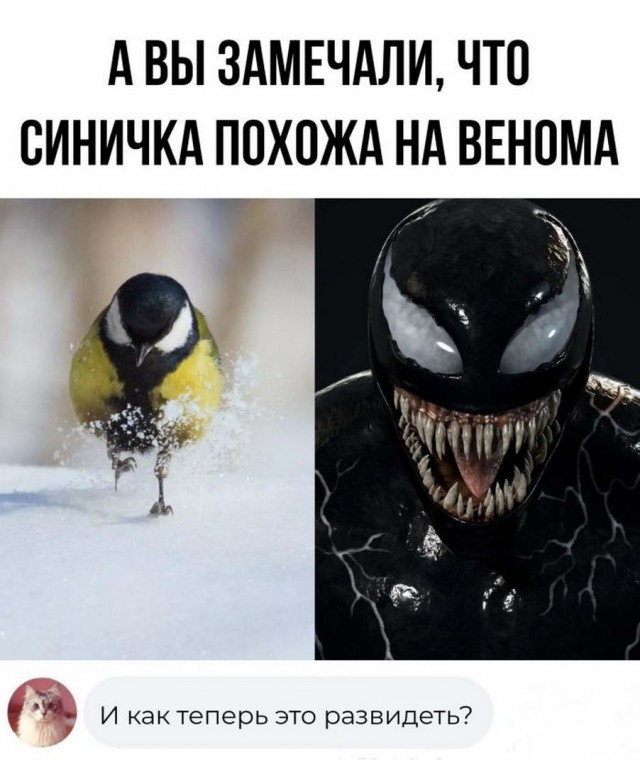 Картинки и мемы, всем хороших выходных