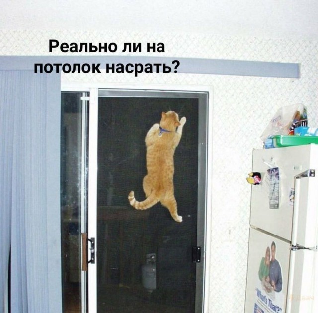 Всего понемногу. От 15.03.23