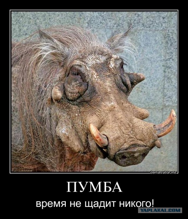 Знаменитости - ровесники (16 фото)