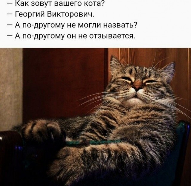 Немного картинок для настроения - 161