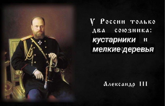 Проклятый куст снова сорвал наступление.
