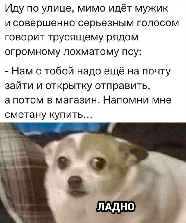 Пятничная скупка краденого из сети 11.08.2023