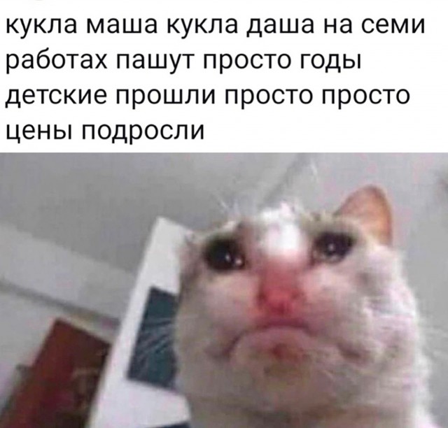 Так себе картинки 16.10.23