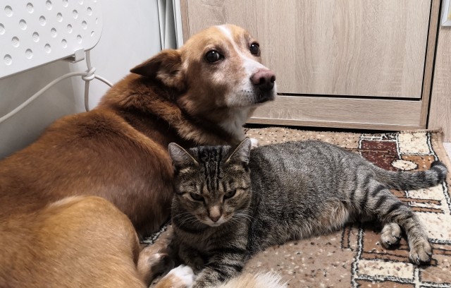 Праздник так-то