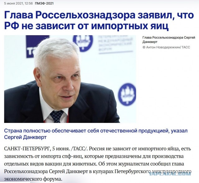 Правительство обнулит ввозную пошлину на яйца для стабилизации цен