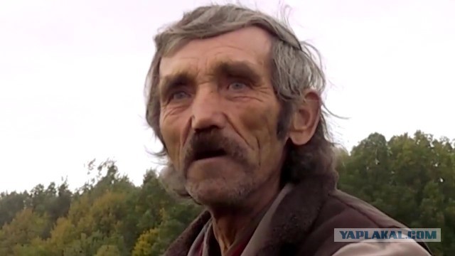 Бобёр не виноват⁠⁠