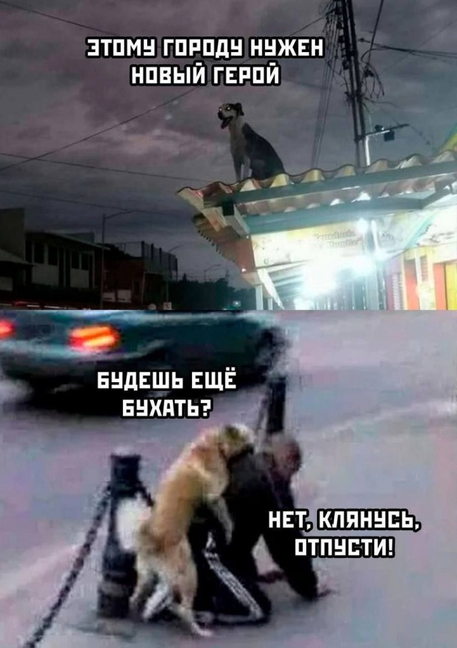 Завалялось тут случайно немного забавных картинок