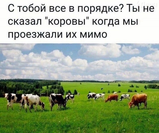 Всего понемногу. От 27.05