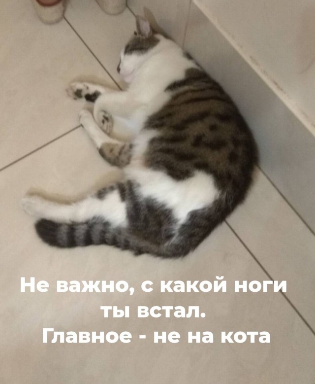 Юмор в картинках и без