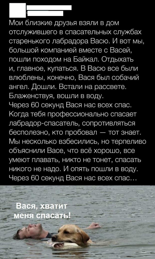 Юмор в картинках и без