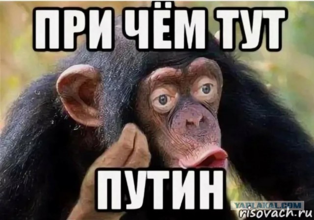 В пожарных частях Подмосковья дефицит спасателей и техники. Это показала трагедия трагедия во Фрязино
