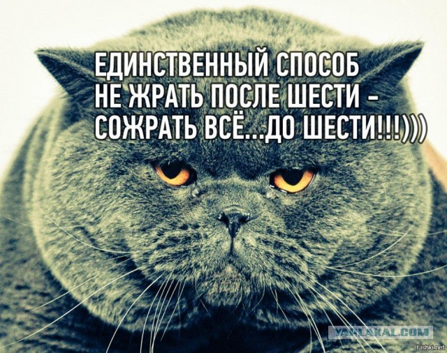 Ооо жужжаловое