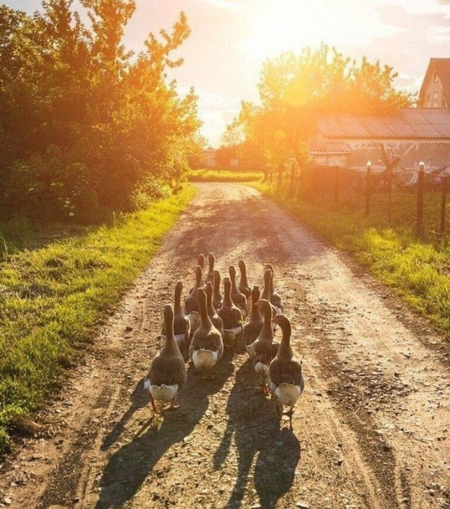 Скоро кончится лето. Это…