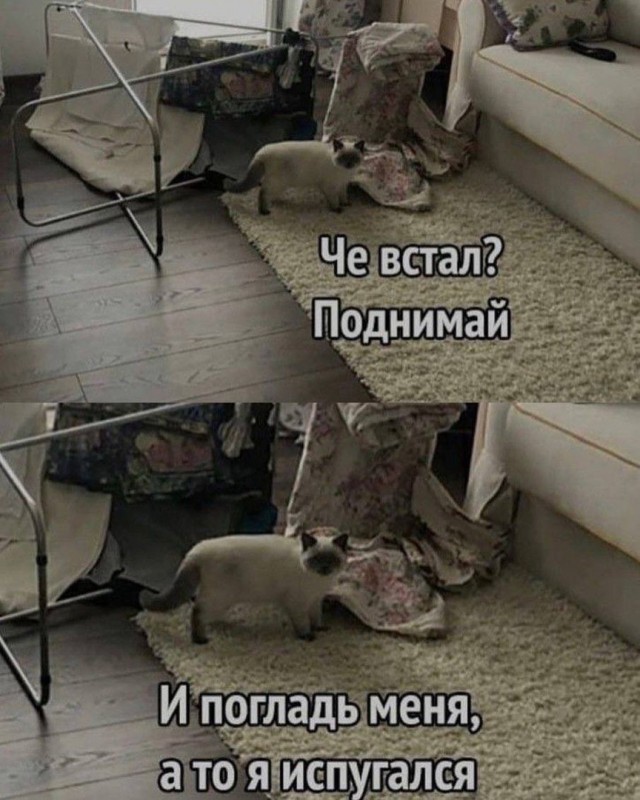 Так себе картинки 16.10.24