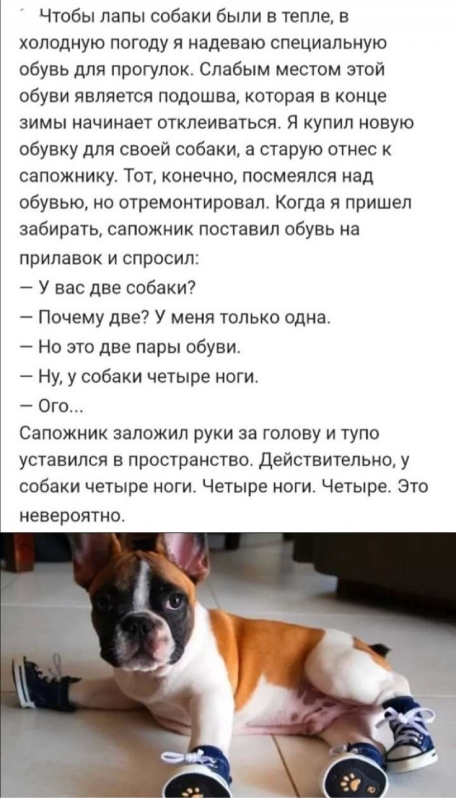Веселые картинки к пятнице (08.11)