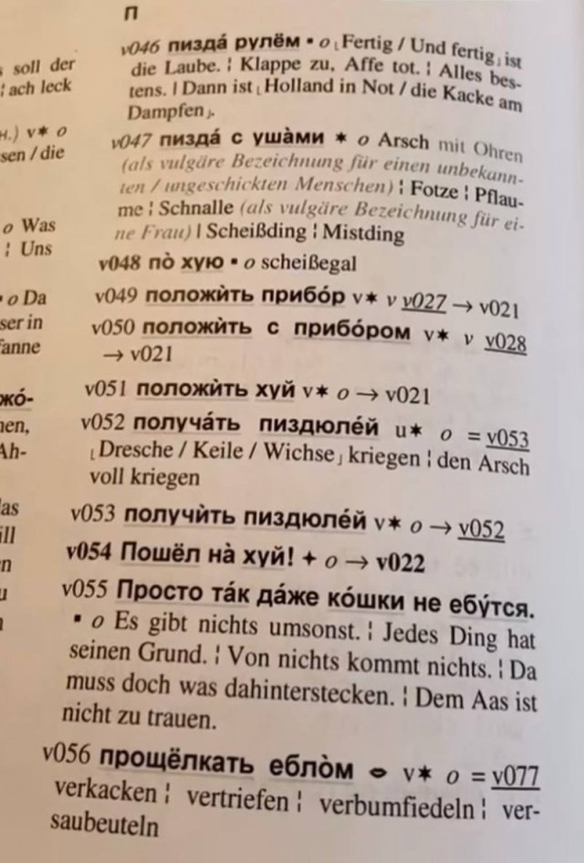 Девушка нашла русско-немецкий словарь