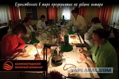 Из жизни янтарного комбината
