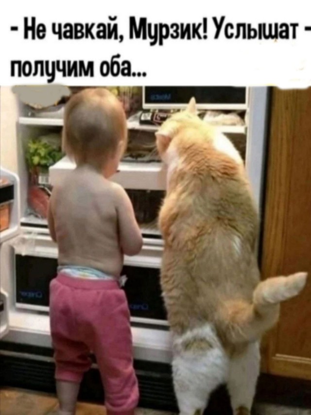 Так себе картинки 05.03.25