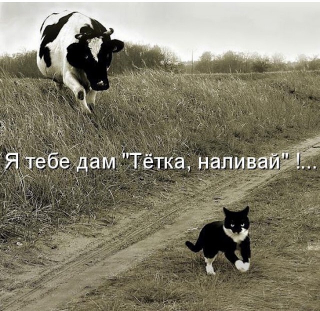 Завалялось тут случайно немного забавных картинок