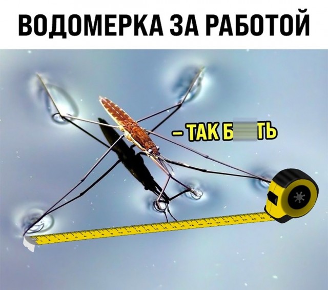 Подъём!