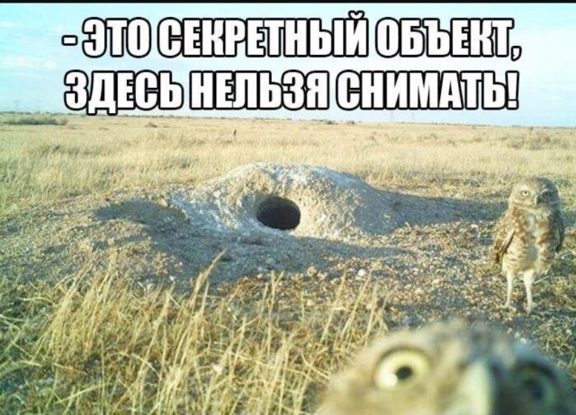 Завалялось тут случайно немного забавных картинок
