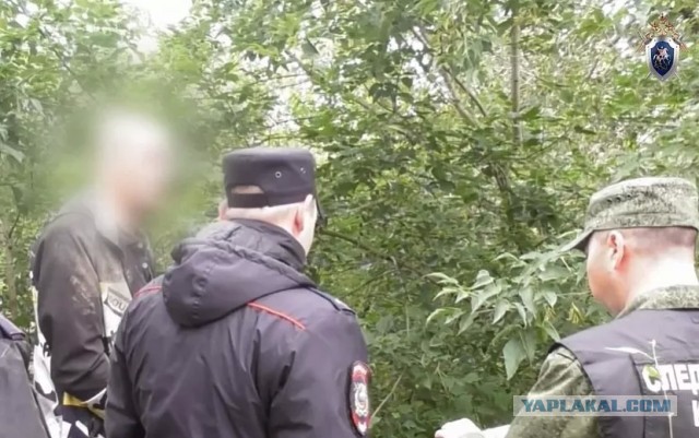 В Глазове мужчина просил объявить в розыск жену, которую сам расчленил и выбросил ее останки в лесу