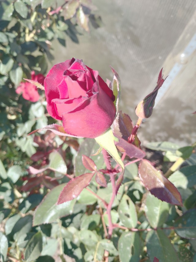 Лето. Бабье лето.