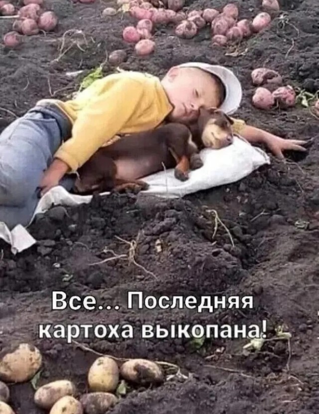 Так себе картинки 07.10.25
