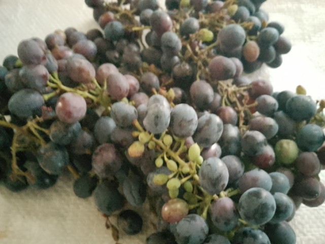 Какое Щастье!..