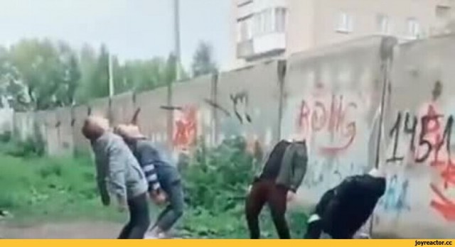 Небо, полное звёзд