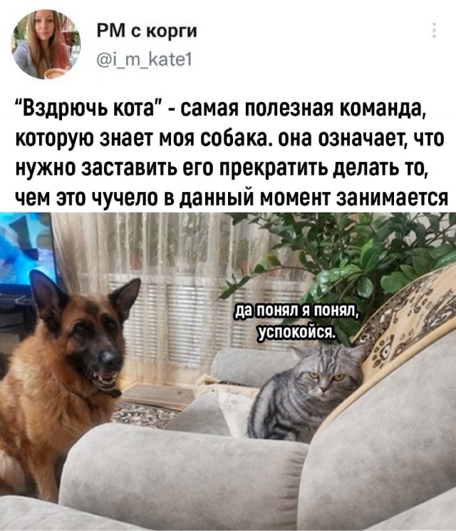 Четверговые разности в картинках