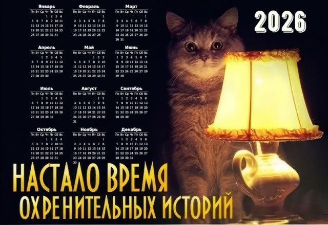 Забираем котика на стену