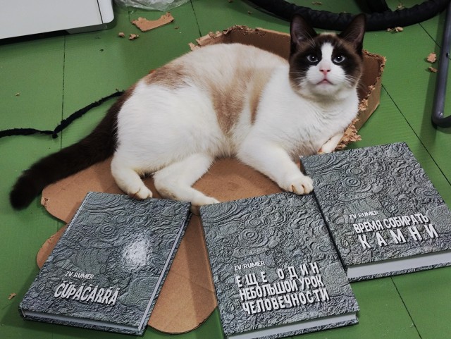 Книга ПОВЕСТИ