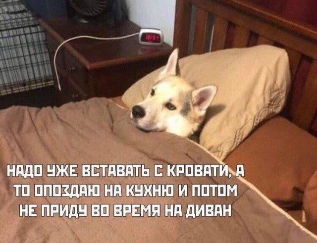 Картинки для деградации 133 (разной степени свежести)