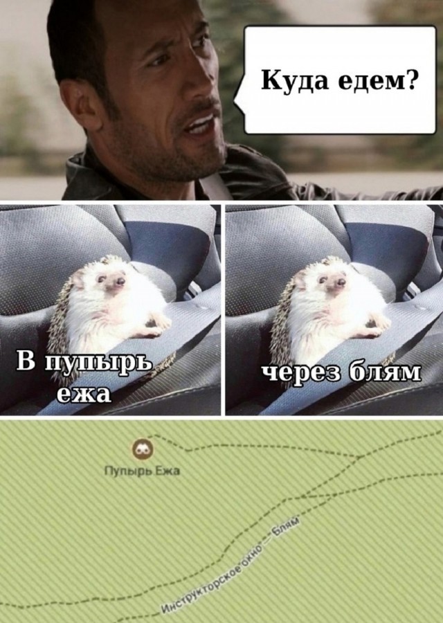 Так себе картинки 06.02.26