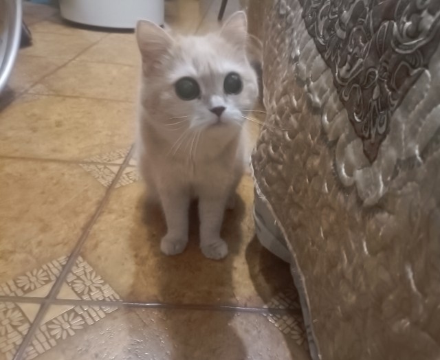 Я тебя еще не отпускала