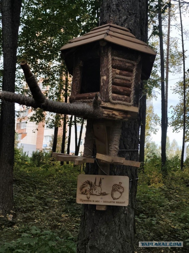 С белочкой нужно дружить заранее! Или пост про рукожопство.