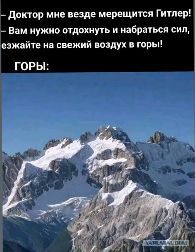 Просто красивый котенок