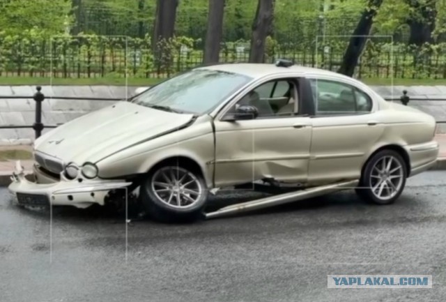 Самый грустный ягуар....