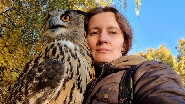 А я думал сова